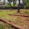 Land With Old House for Sale Hosdurg Kanhangad