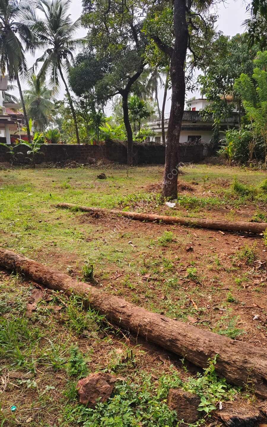Land With Old House for Sale Hosdurg Kanhangad