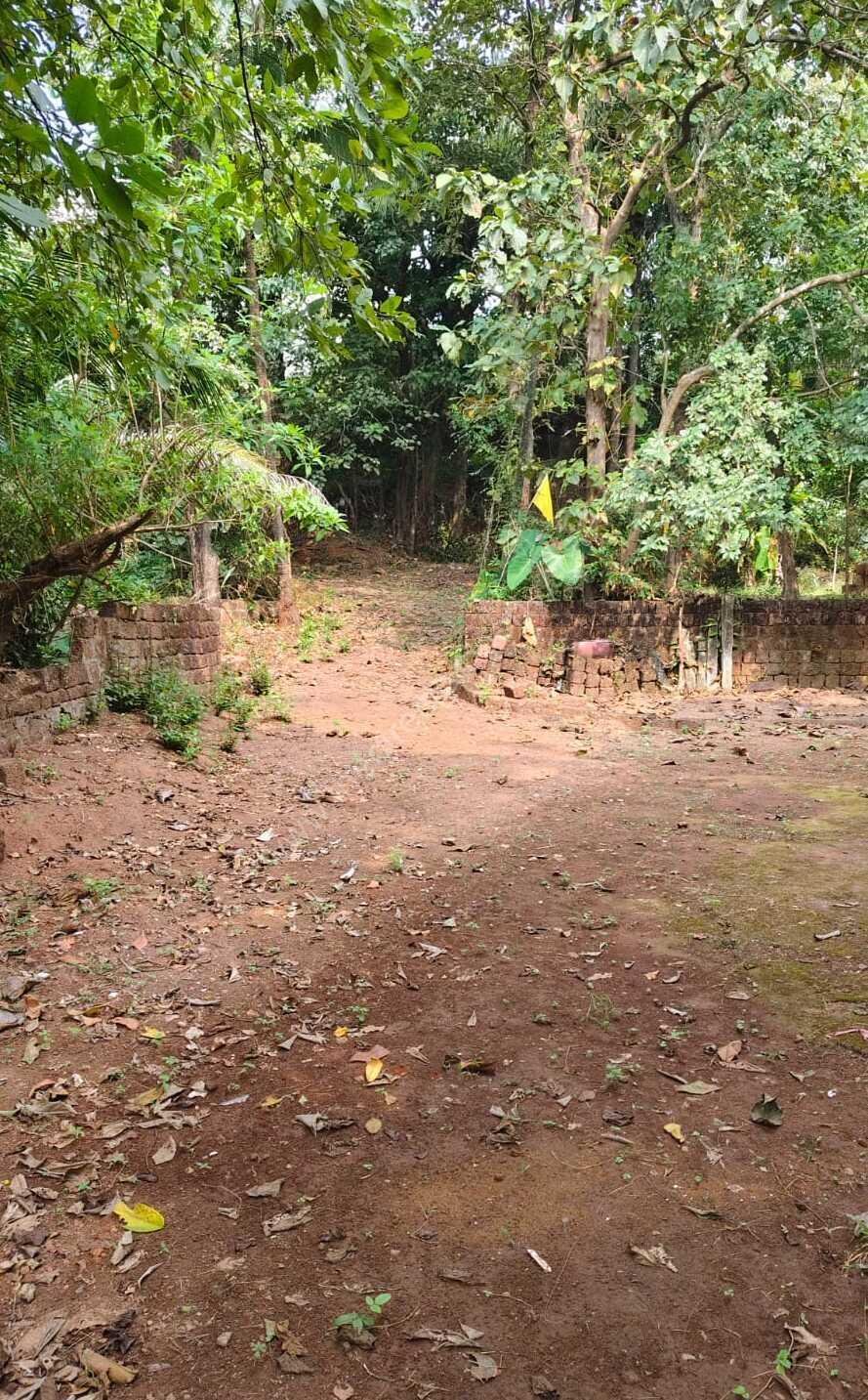 673577595O-1763281891247