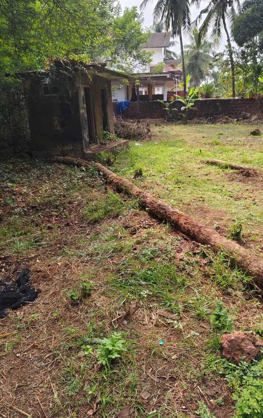 673577821O-1763281646444