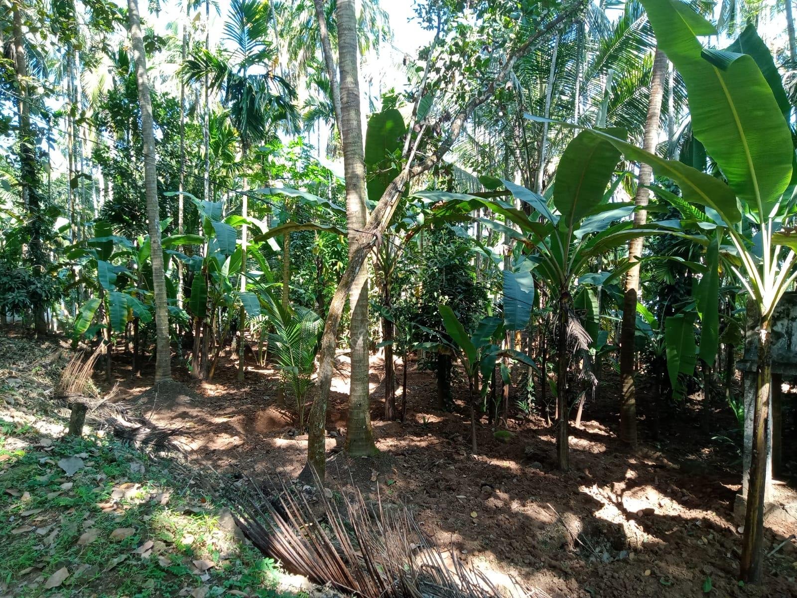 797a4b75-5e7e-42c4-841c-204c22235a29