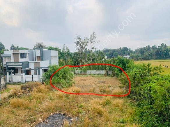 Land for sale in Alathur Palakkad