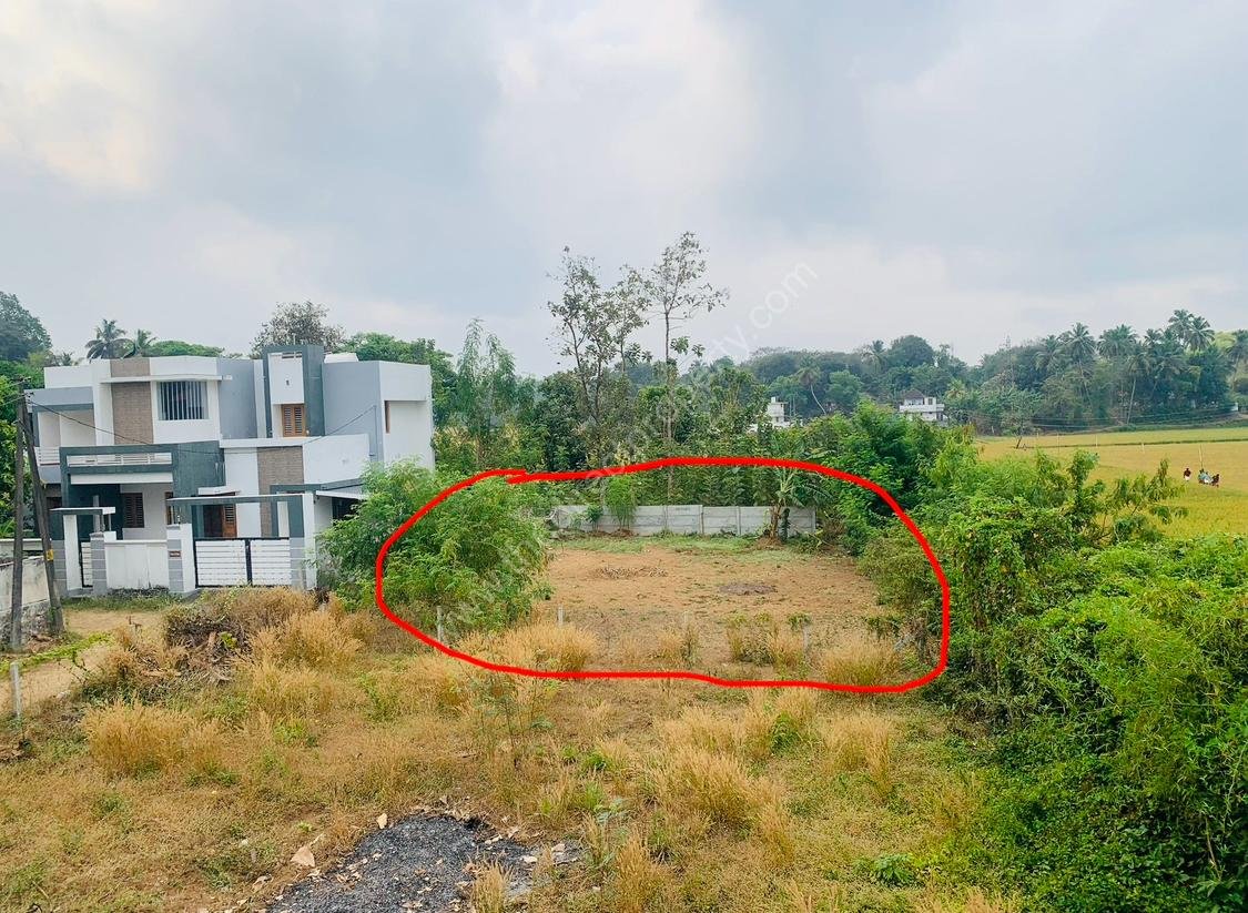 IMG_9814 Land for sale in Alathur Palakkad