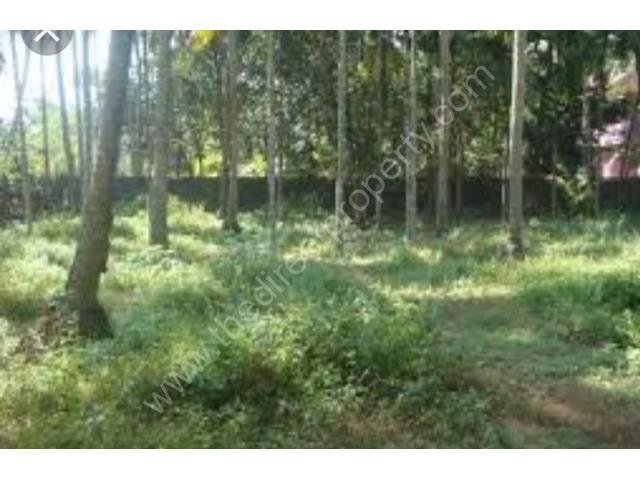 House/Land for Sale in Thattarambalam Mavelikara