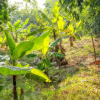 Plot for sale in PTP Nagar Trivandrum