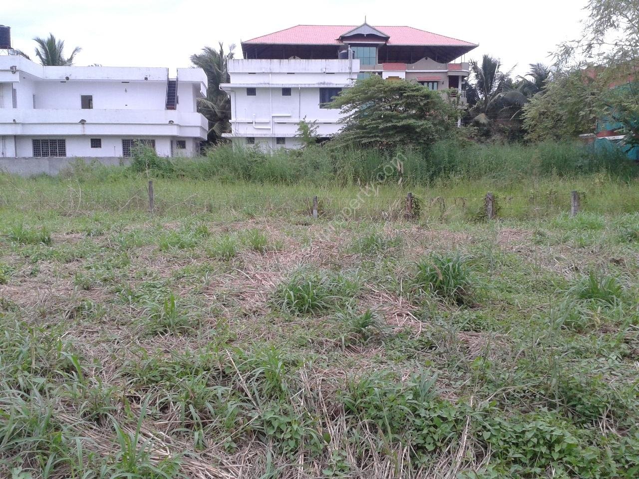 Plot for sale in Punkunnam Thrissur