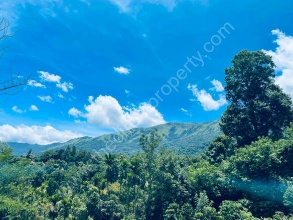 Land for sale in Thirunelly Wayanad