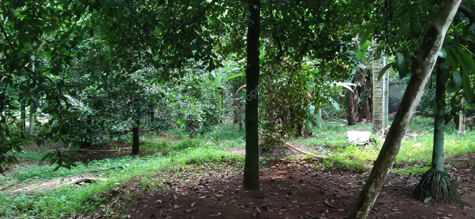 WhatsApp Image 2025-11-03 at 22.18.48_38fb90c6