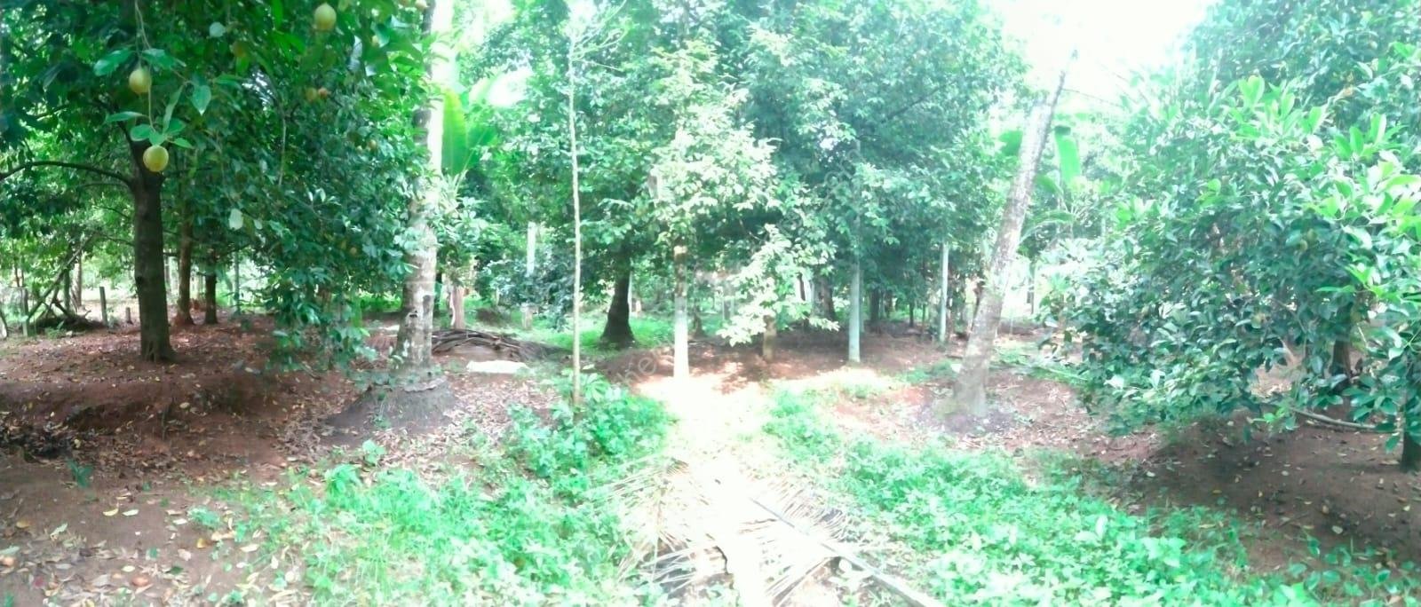 WhatsApp Image 2025-11-03 at 22.18.49_64083572