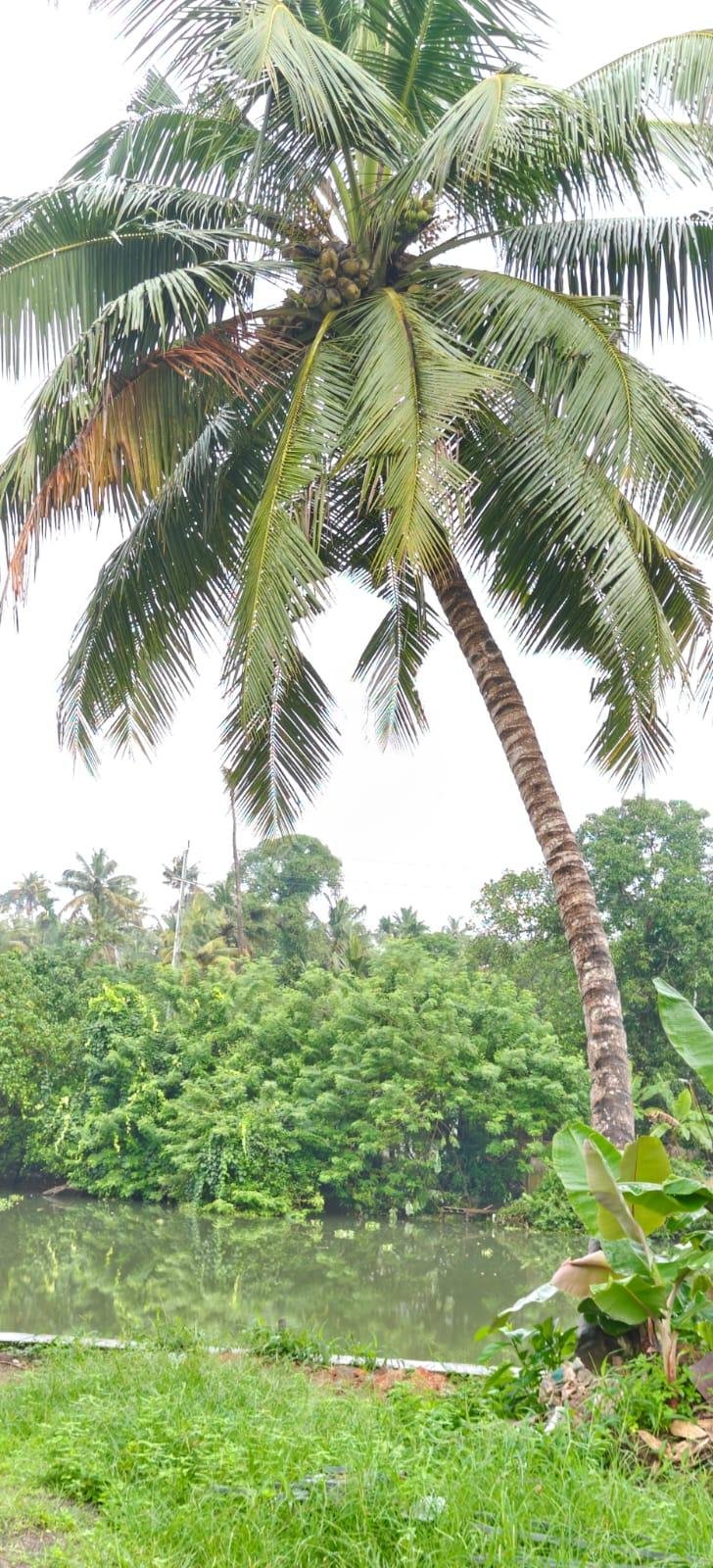 WhatsApp Image 2025-11-04 at 3.08.26 PM (3)