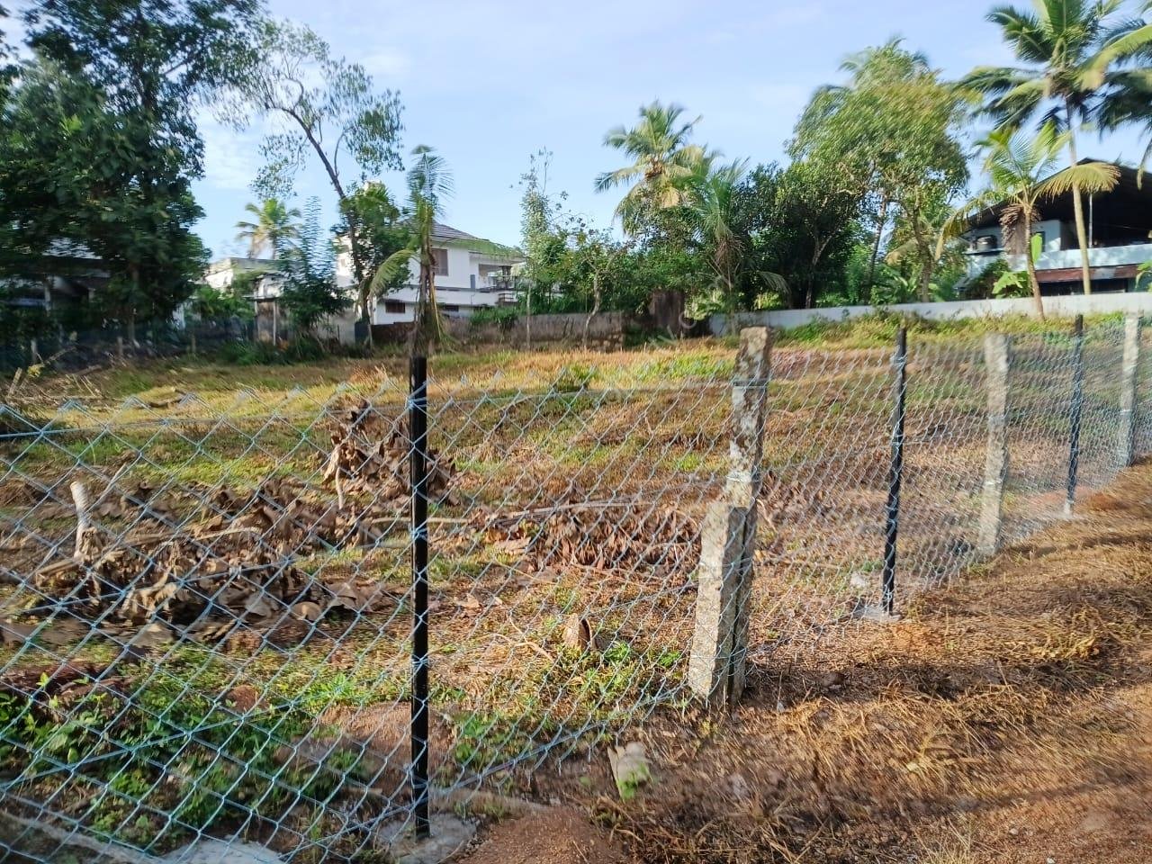 WhatsApp Image 2025-11-06 at 11.52.19