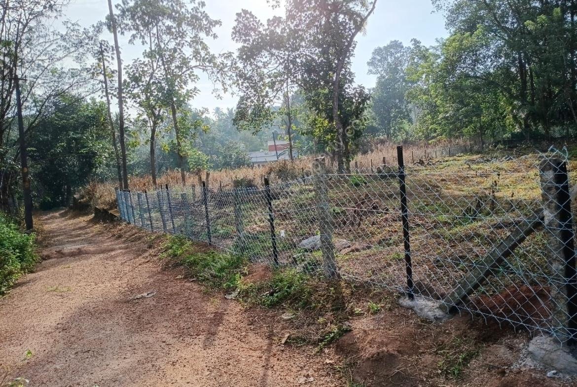 Plot for sale in Chennapetta Road Anchal