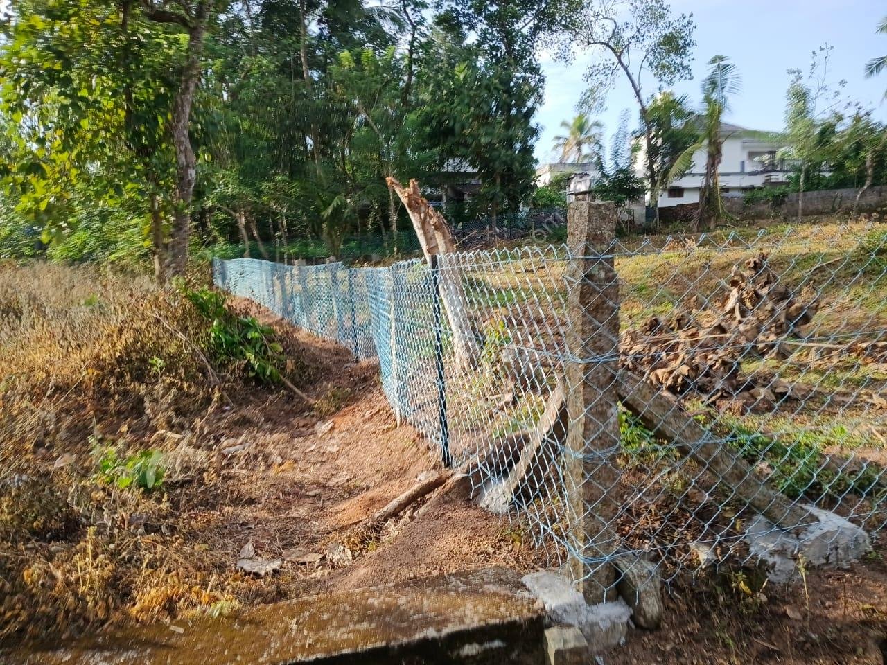 WhatsApp Image 2025-11-06 at 11.52.20