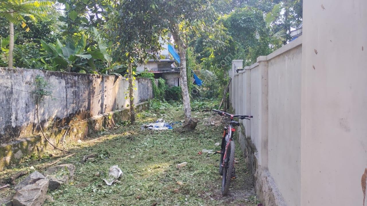 WhatsApp Image 2025-11-27 at 10.55.38 AM (1)