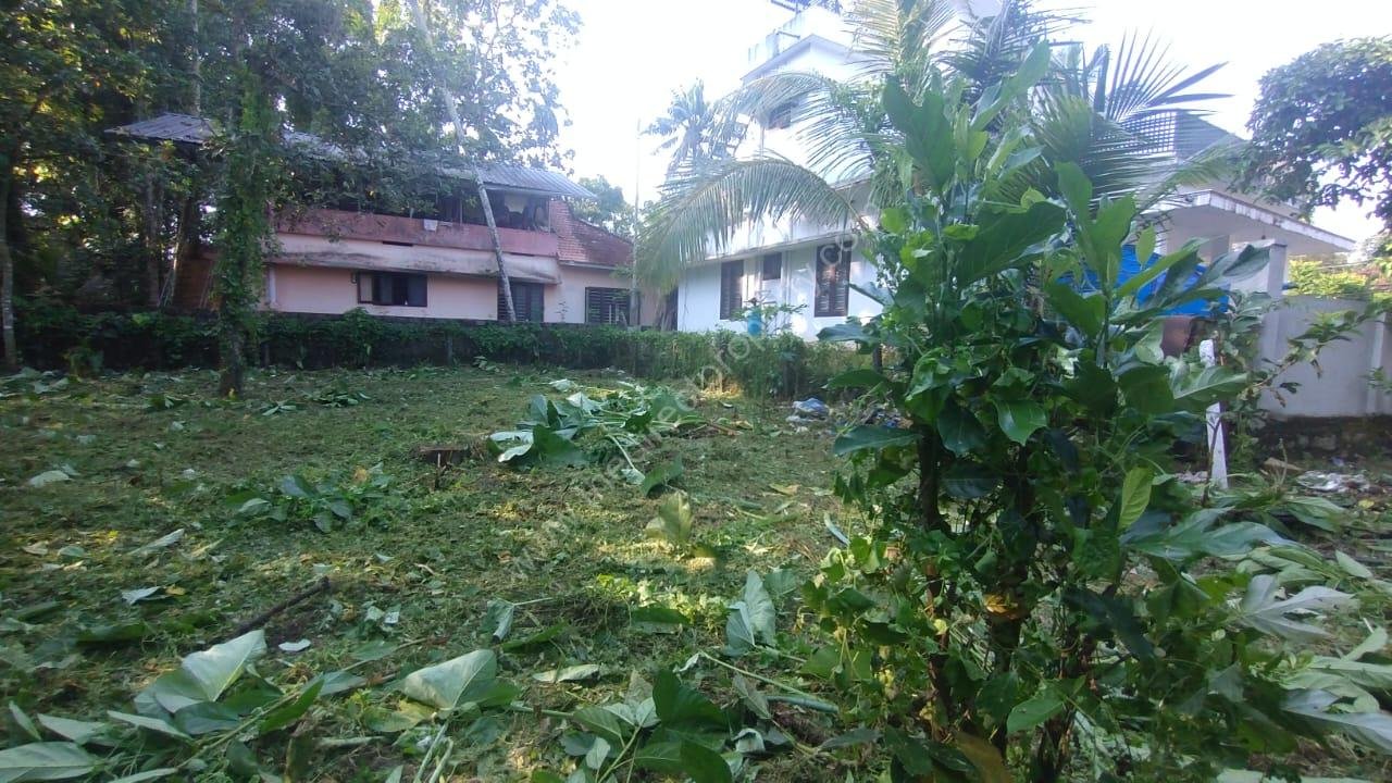 Land for sale in Podiyadi Thiruvalla