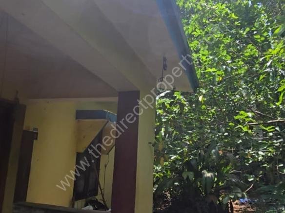 Premium House & Farmland for Sale in Cheruthuruthy