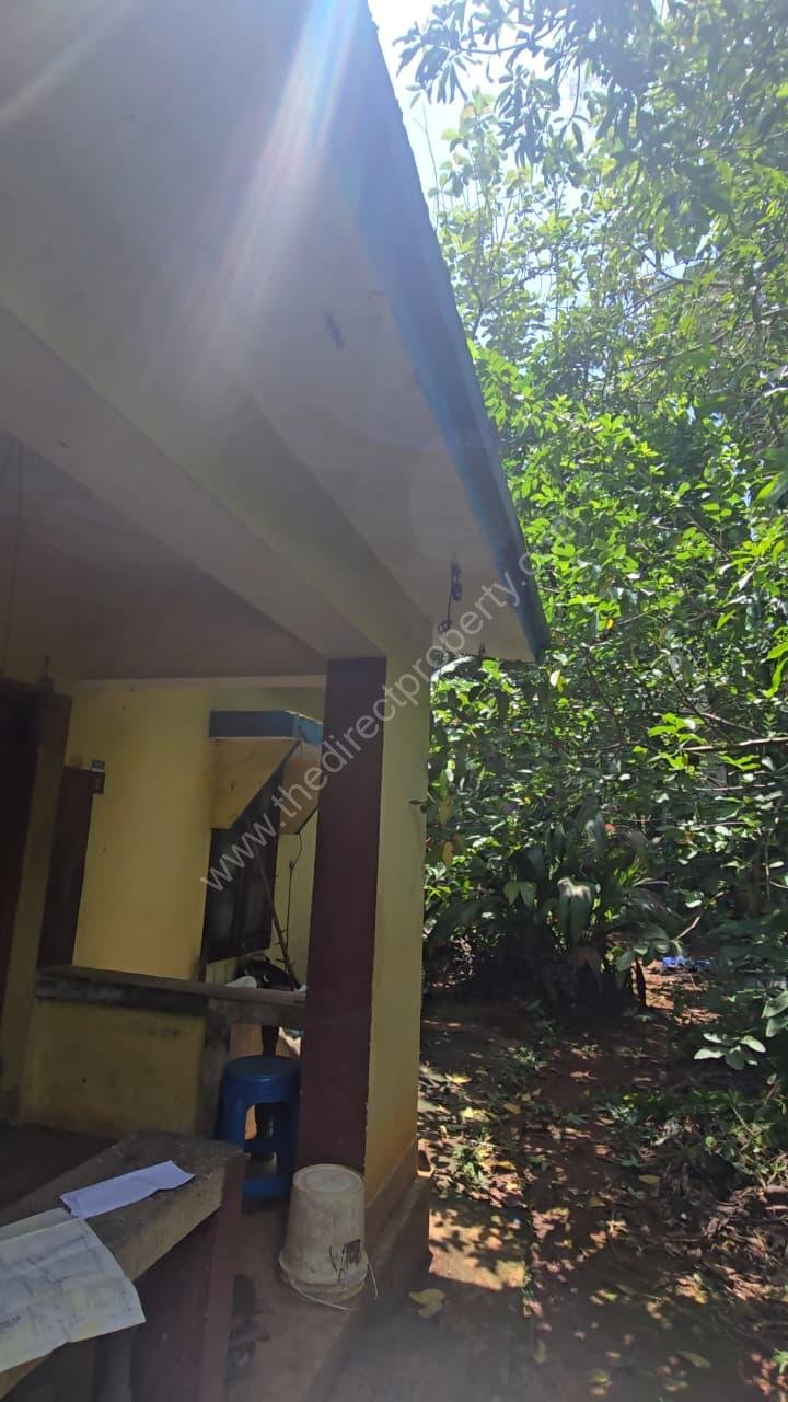 WhatsApp Image 2025-11-28 at 2.27.17 PM Premium House & Farmland for Sale in Cheruthuruthy