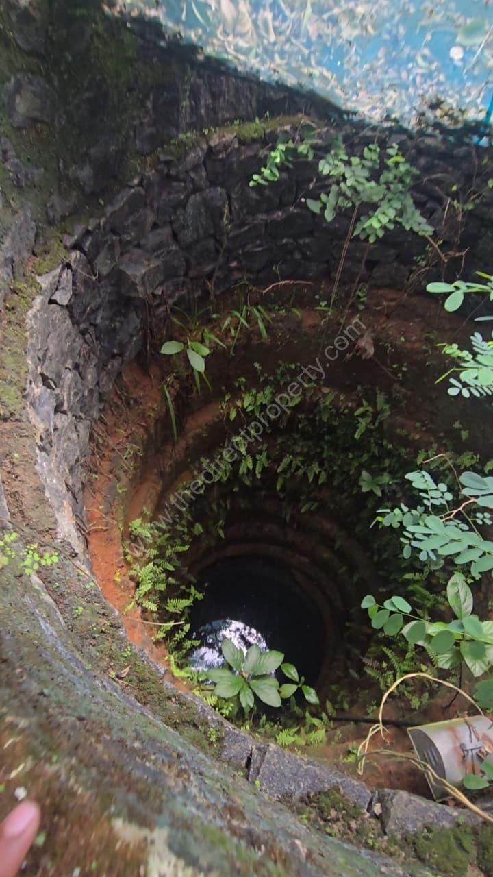 WhatsApp Image 2025-11-28 at 2.27.18 PM