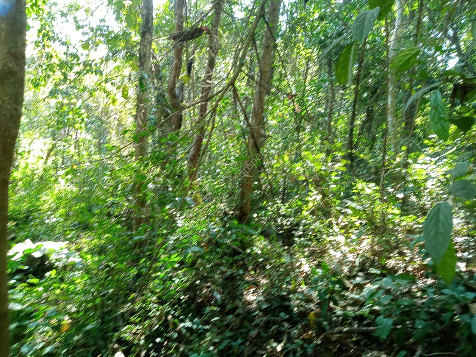 a98678ec-36ba-4bf4-a04a-1fa6641e58cc