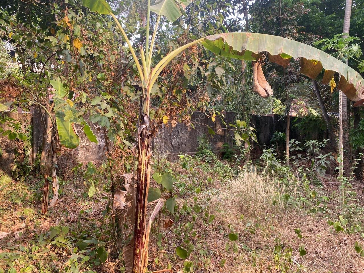 cbfc49a9-6c5c-4056-8f31-ec94f416cdbb