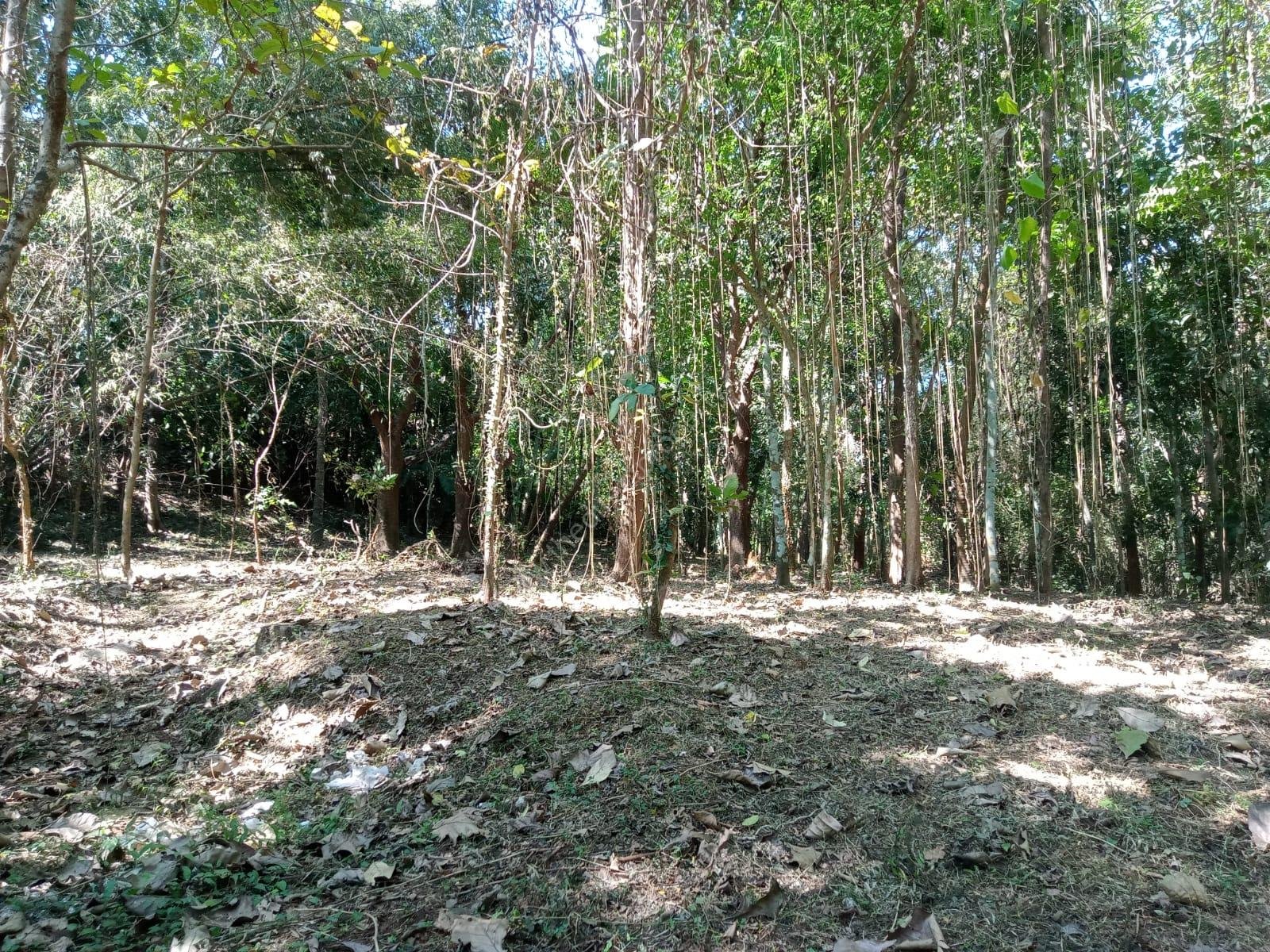 ec48b885-ec6b-4248-9277-c67a4c81c54e