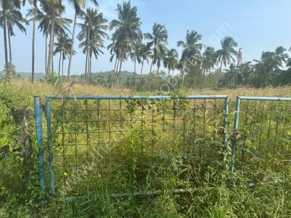 Land for sale in Kolazhy