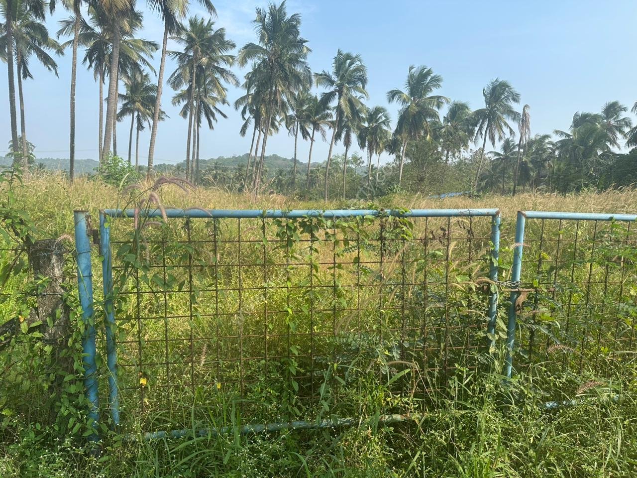 Land for sale in Kolazhy