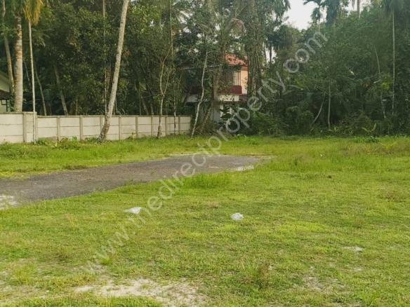 Land for sale in Chettikulangara