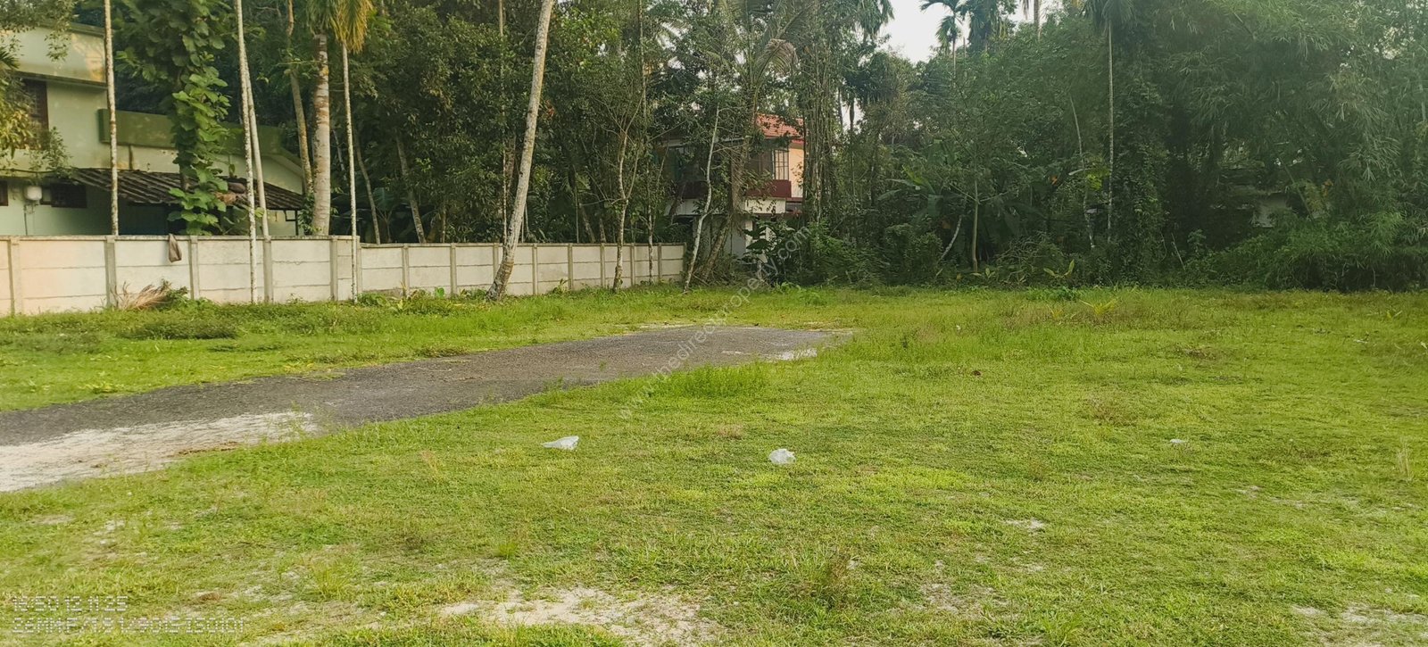 4 Land for sale in Chettikulangara