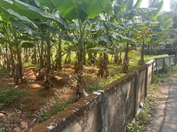 Land for sale in Kuttumuck