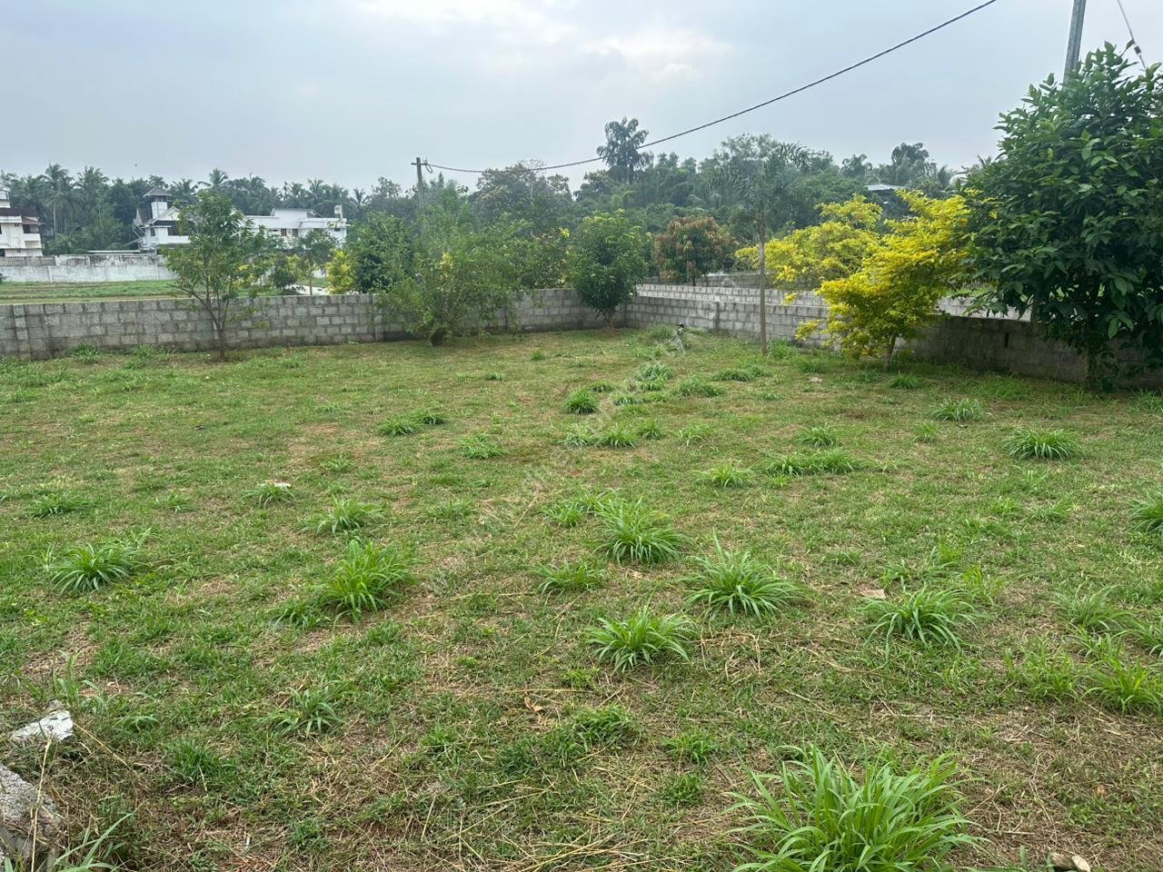 6 Land for sale in Kechery Center