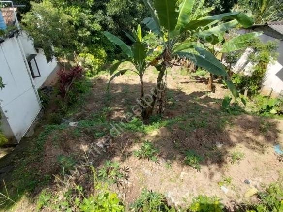 Land for sale near Kottayam