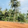 Land for sale in Kodenchery