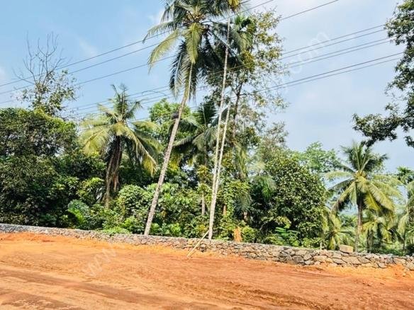 Land for sale in Kodenchery