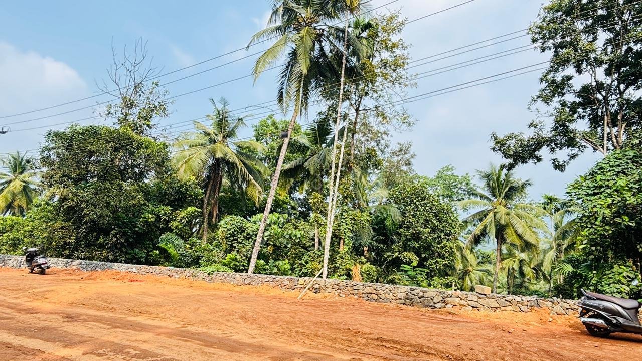 IMG-20251207-WA0052 Land for sale in Kodenchery