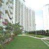 Flat for sale in Kakkanad DLF