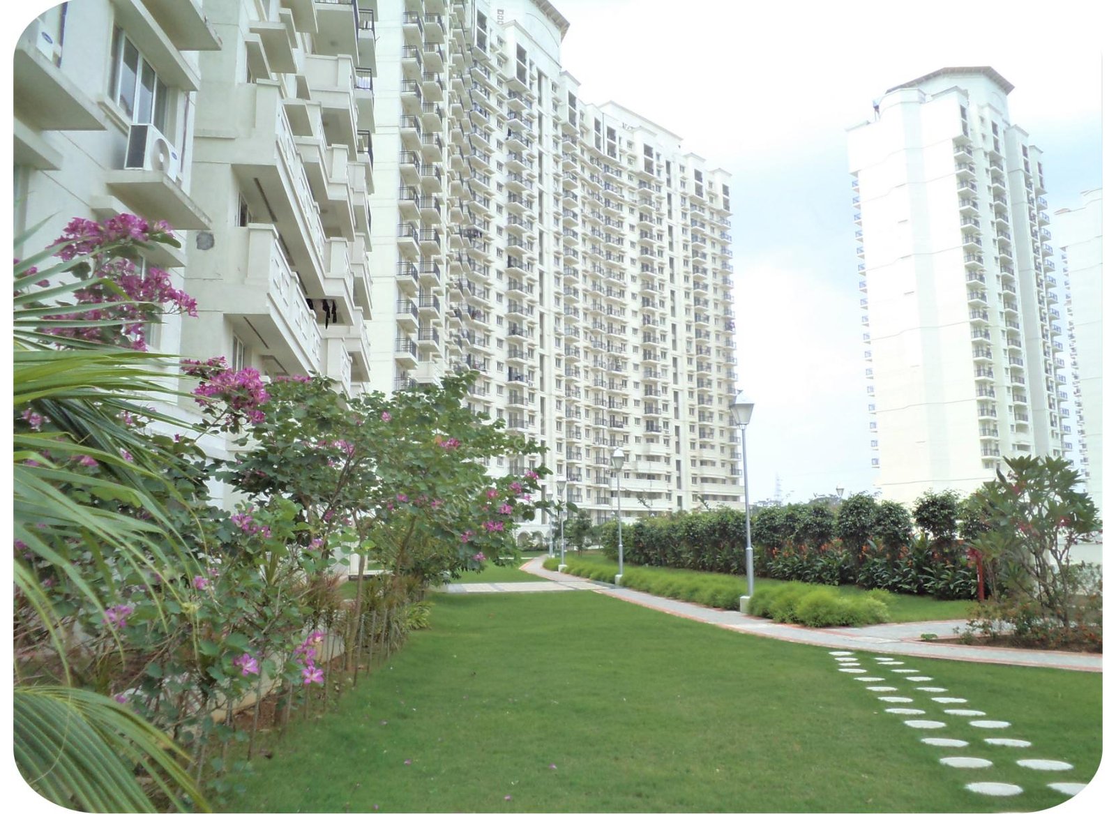 IMG_1555 Flat for sale in Kakkanad DLF