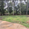 Land for sale in Kothamangalam Ernakulam