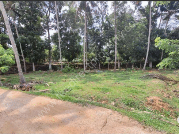 Land for sale in Kothamangalam Ernakulam