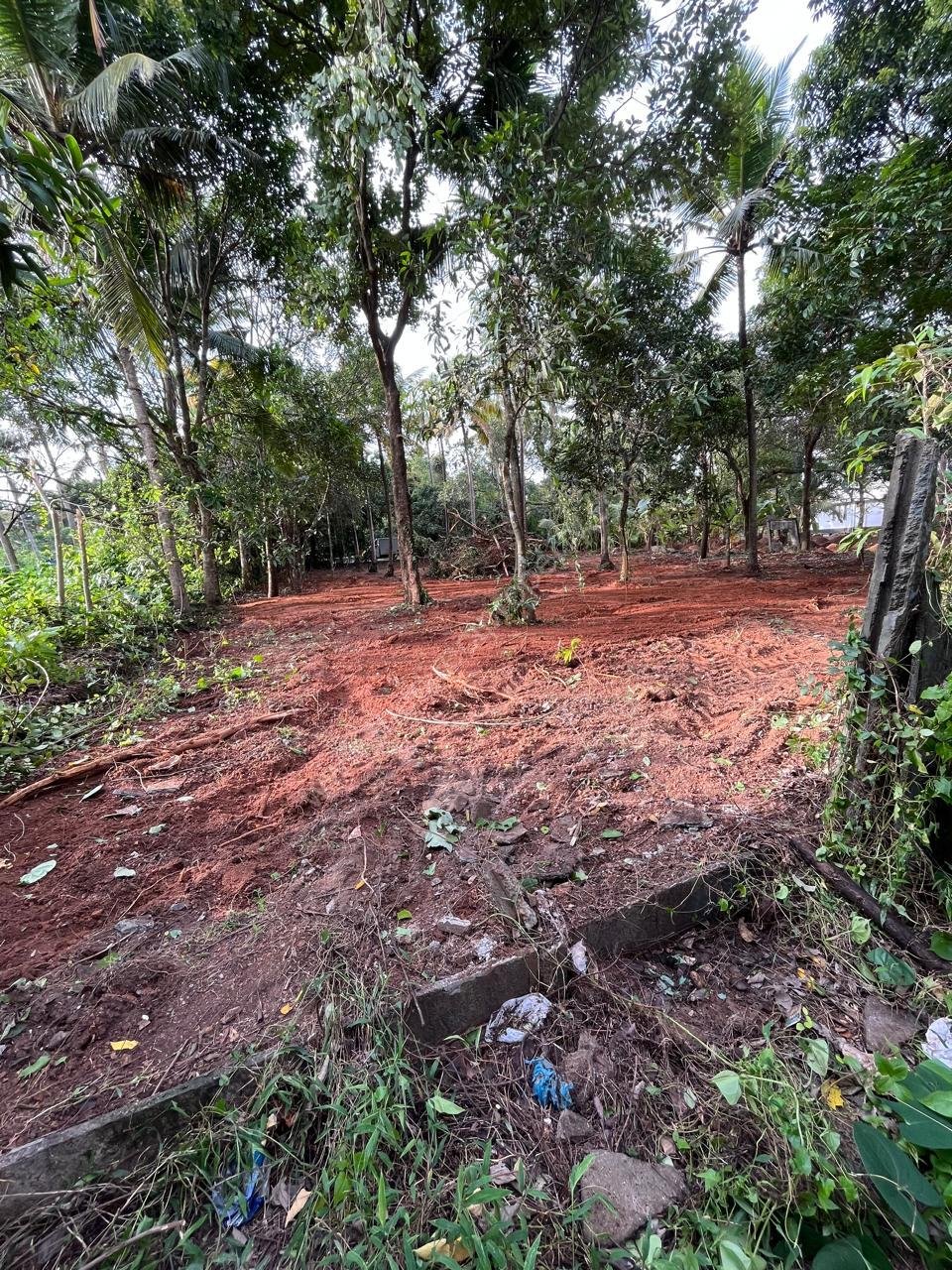 WhatsApp Image 2025-12-08 at 2.49.43 PM (1)