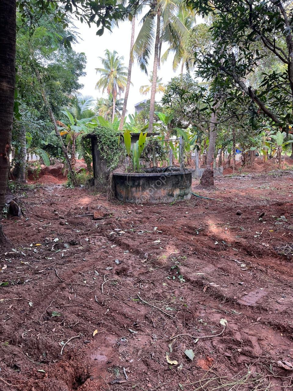 WhatsApp Image 2025-12-08 at 2.49.43 PM