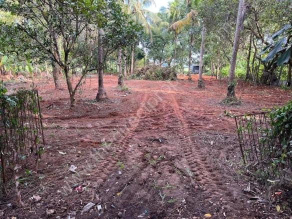Commercial plot for sale in Alappad
