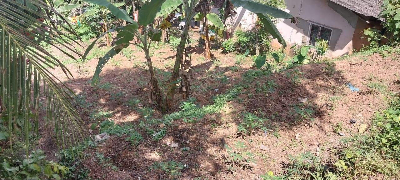 ac6bde88-9539-412b-a41b-aa11b5f81aa1