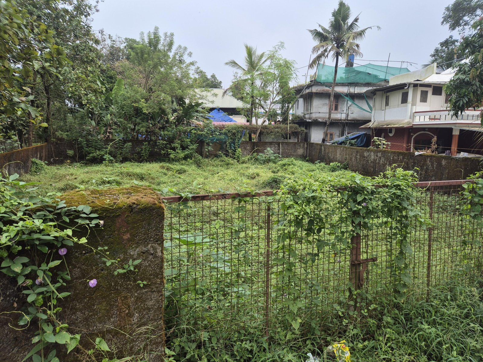 land photo 1 Land for rent/lease Varappuzha