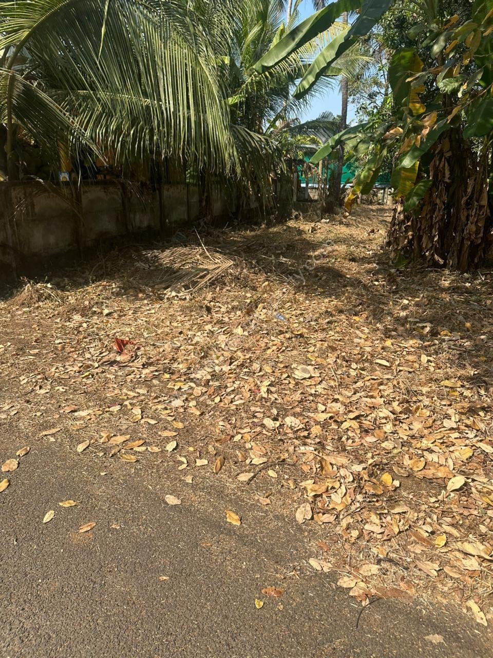 1 Land For sale in Viyyur