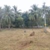 Land For Sale Pokkottumpadam