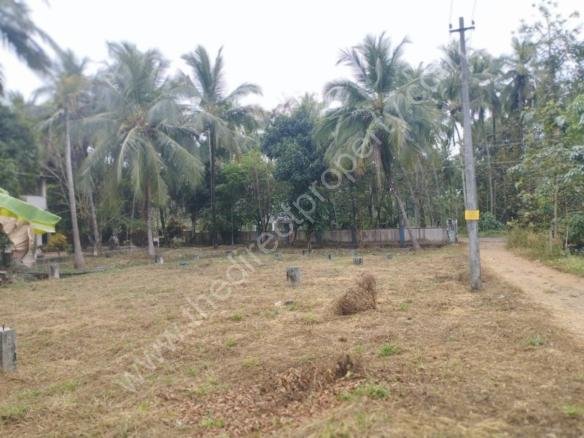 Land For Sale Pokkottumpadam