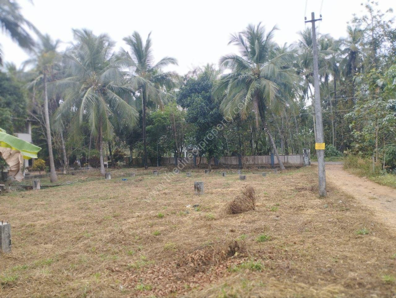 1 new Land For Sale Pokkottumpadam
