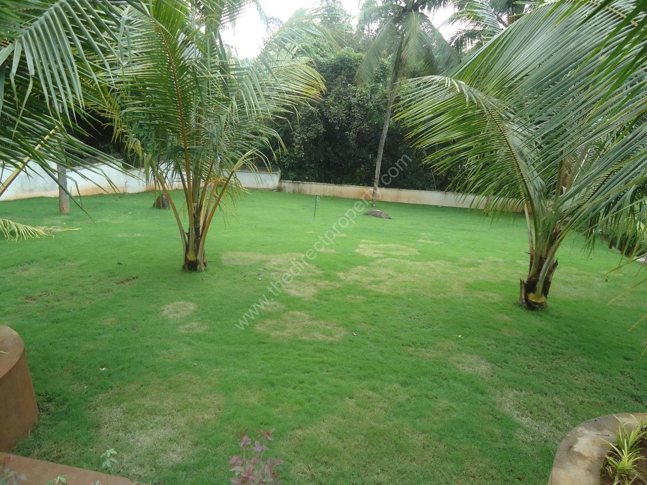 1.1 Land for sale in Puzhakkal