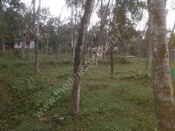 Land for sale at near Vedagiri church